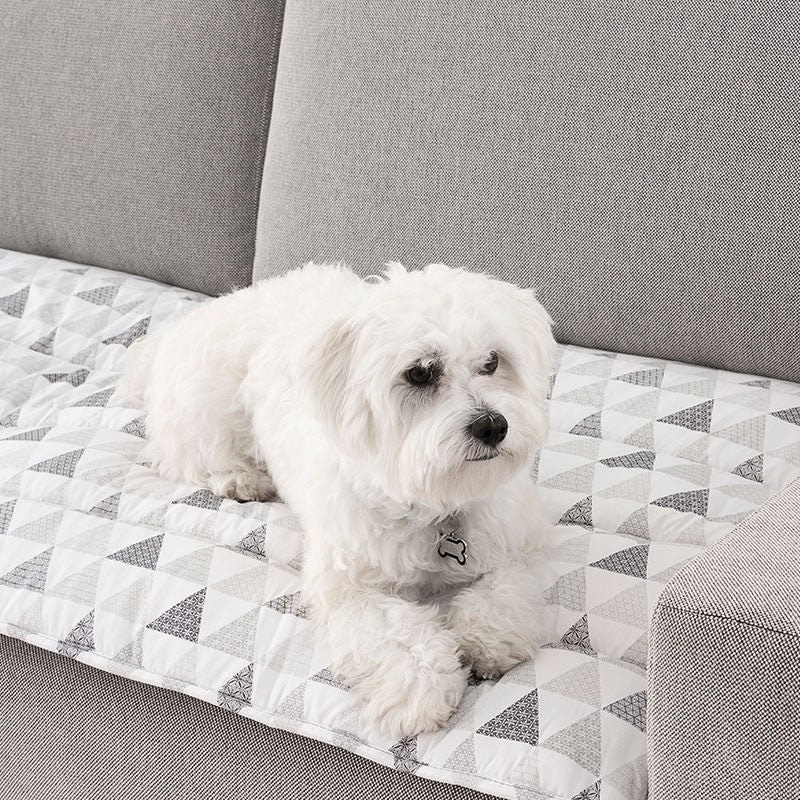 Protector de Sofá para Mascotas Buddy